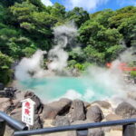 Beppu: Custom Private Tour with English Speaking Guide - Who Should Consider This Tour?