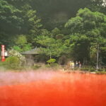 Beppu: Usa Shrine and Jigoku Hell Tour with Licensed Guide - The Practicalities of the Tour