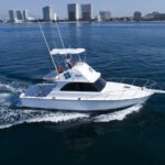 Bertram 38' Convertible Boat in Puerto & Nuevo Vallarta - Final Thoughts: Is This Tour Right for You?