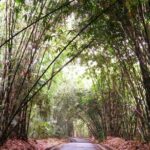 Besakih Temple Tour - Traditional Bali Village - All Inclusive - Final Thoughts