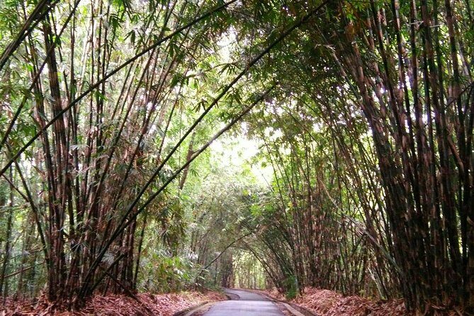 Besakih Temple Tour - Traditional Bali Village - All Inclusive - Final Thoughts