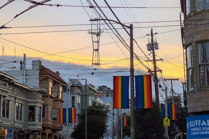 Bespoke San Francisco EV VW Van Experience - Practical Aspects and Booking