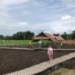 Best 2-Day: Explore Chiang Rai Landmarks from Chiang Mai, Private Trip - Frequently Asked Questions