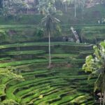 Best Bali Day Tour - Exploring the Full Experience