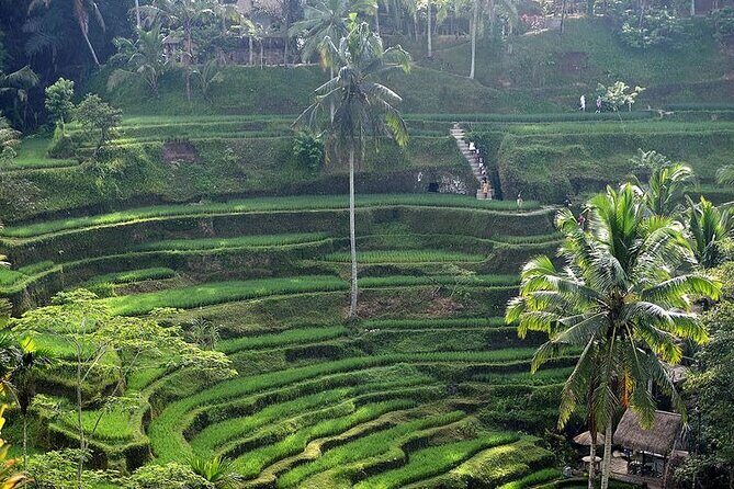 Best Bali Day Tour - Exploring the Full Experience