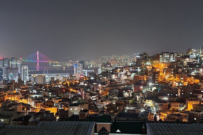 Best Busan night views : Mountain observatory streets - A Closer Look at the Tour Experience