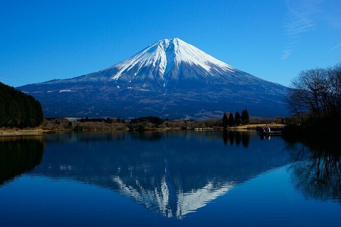Best Mt Fuji and Hakone Full-Day Bus Tour from Tokyo - Authenticity and Practicality