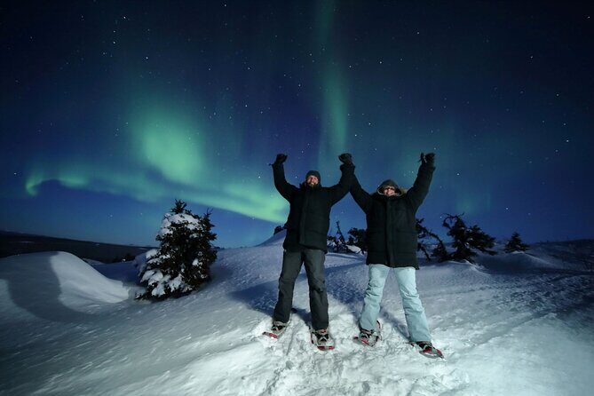 Best Northern Lights Aurora Adventure FREE Portraits & Hot Pizza - Authenticity & Value