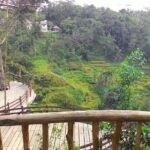 Best of Bali : Ubud, Rice terrace, Tanah lot temple with Lunch - What Makes This Tour Stand Out?