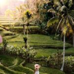 Best of Bali Ubud Sightseeing All Inclusive Private Tour - Key Points
