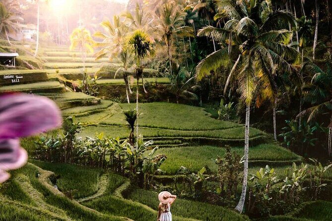 Best of Bali Ubud Sightseeing All Inclusive Private Tour - Key Points