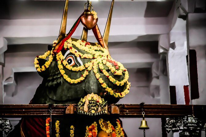 Best of Bangalore Private Tour - What to Expect and How It Feels