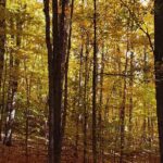 Best of Boyne - Full Day Private Experience - The Practical Side: What to Expect