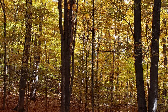 Best of Boyne - Full Day Private Experience - The Practical Side: What to Expect