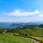 Best of Kerala Tour (Exclusive Private tour) - The Sum Up