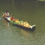 Best of Kerala Tour Package 7 nights / 8 days by Sanguine Holidays - Real Traveler Insights and Experiences
