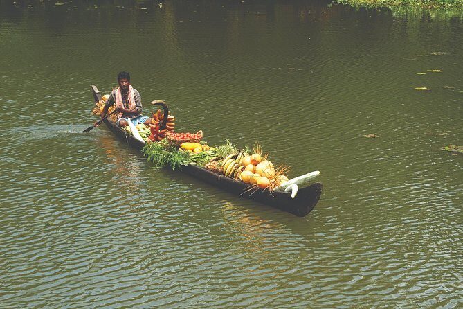 Best of Kerala Tour Package 7 nights / 8 days by Sanguine Holidays - Real Traveler Insights and Experiences