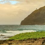 Best of Oahu: Pearl Harbor & Oahu Circle Island Tour from Waikiki - Who This Tour Is Best For