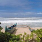 Best of Oahu's North Shore in small group (Se Habla Español) - Why This Tour Offers Real Value