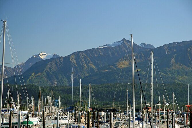 Best of Seward Alaska Full Day Tour - A Closer Look at the Best of Seward Alaska Full Day Tour