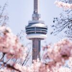 Best of Toronto City Tour with Boat Cruise & CN Tower - Authentic Experiences and Practicalities