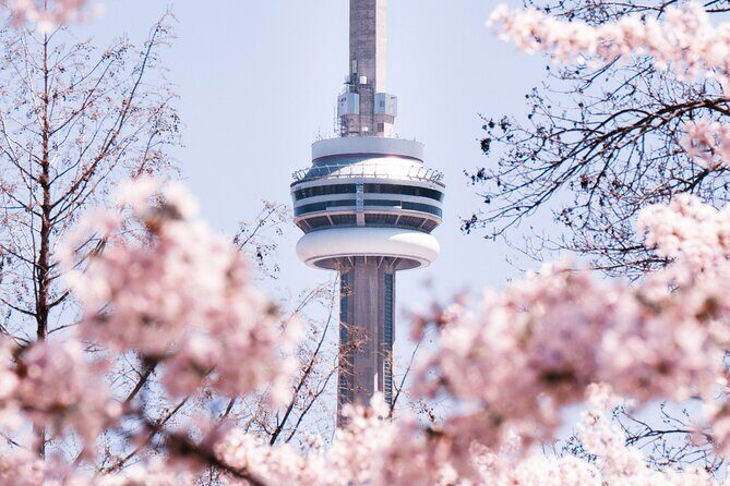 Best of Toronto City Tour with Boat Cruise & CN Tower - Authentic Experiences and Practicalities