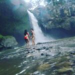 Best of Ubud Full Day Private Guided Tour - Why This Tour Works Well