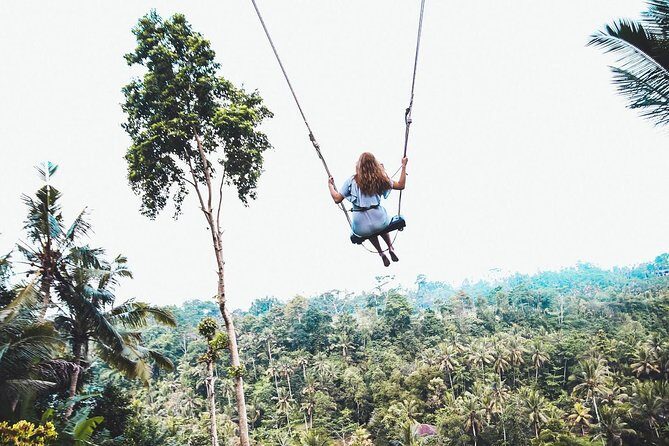 Best of Ubud Full-Day Tour with Jungle Swing - Authentic Reviews and Insights