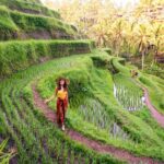 Best of Ubud Private Day Tour - FAQ
