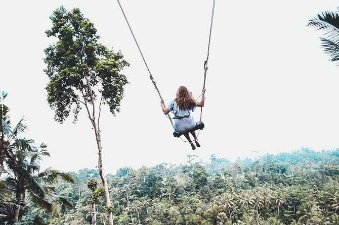 Best of Ubud Private Tour with Jungle Swing Experience - What the Tour Means for You