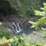 Best of Ubud Scenic Tamansari Waterfall Private Guided Tour - What Travelers Should Expect