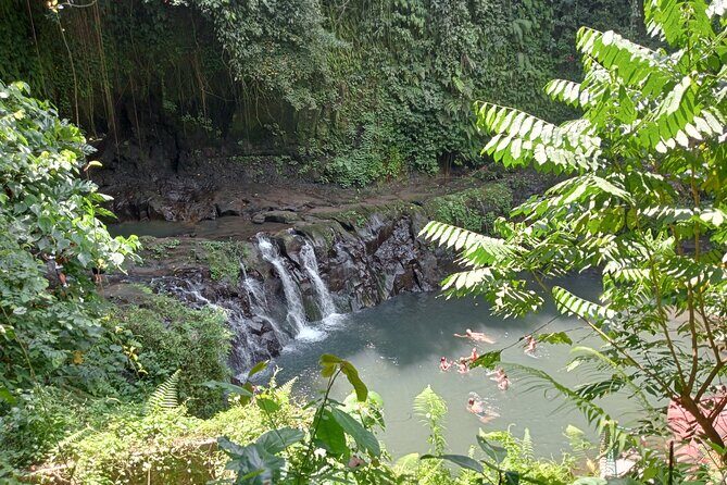 Best of Ubud Scenic Tamansari Waterfall Private Guided Tour - What Travelers Should Expect
