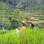 Best of Ubud - Ubud Tour Popular - All Inclusive - Who Would Enjoy This Tour?