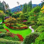 Best of Victoria Group Tour w/ Malahat Skywalk & Butchart Gardens - A Deep Dive into the Victoria Experience