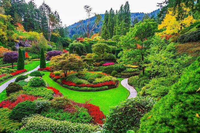 Best of Victoria Group Tour w/ Malahat Skywalk & Butchart Gardens - A Deep Dive into the Victoria Experience
