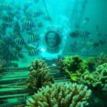 Best Package 3 in One Water Sport - Exploring Bali’s Water Sports: An In-Depth Review