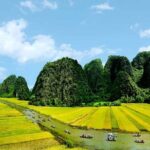 Best Seller Day Tour from Hanoi to Ninh Binh in 2024 - 2025 - Practical Tips and Considerations