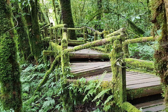 Best seller! Doi Inthanon National Park Oneday tour with the Highest point - The Sum Up