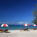 Best Sihanoukville Day Tours from Cruise Port - Who Will Enjoy This Tour?