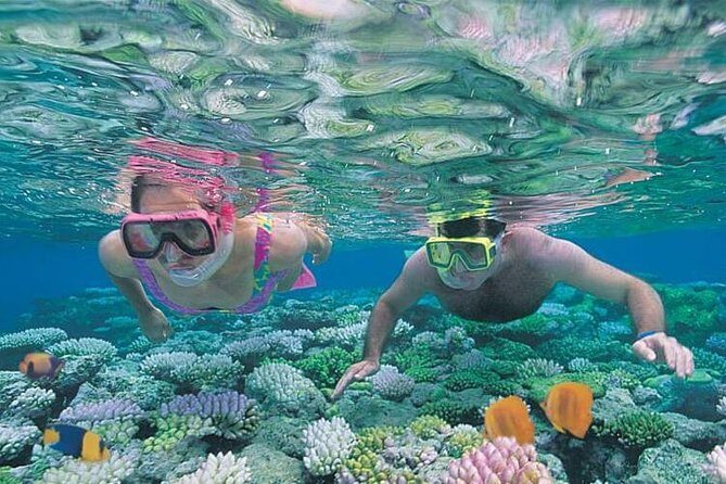Best Snorkeling Lombok: Gili Nanggu, Gili Kedis & Gili Sudak Day-Trip - Authenticity and Value