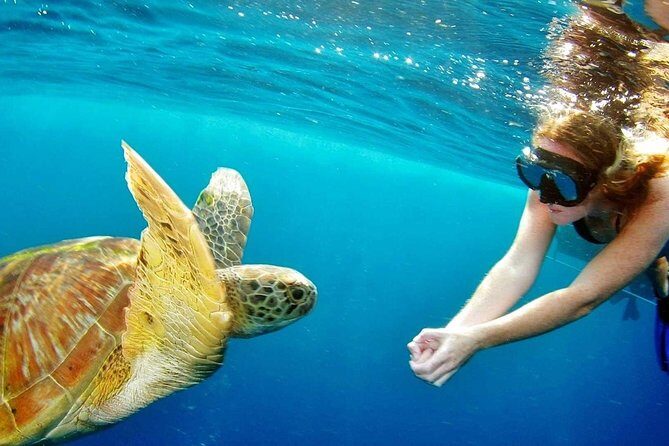 Best Snorkeling Trip at Blue Lagoon Bali - What the Tour Includes and What It Doesn’t