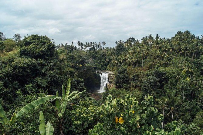 Best Waterfalls of Ubud - An In-Depth Look at the Waterfalls Tour