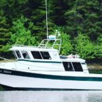 Best Whale Watching and Wildlife Shore Excursion in Sitka - FAQs