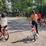 Beyond the French Quarter Bike Tour - Price and Value: Is It Worth It?