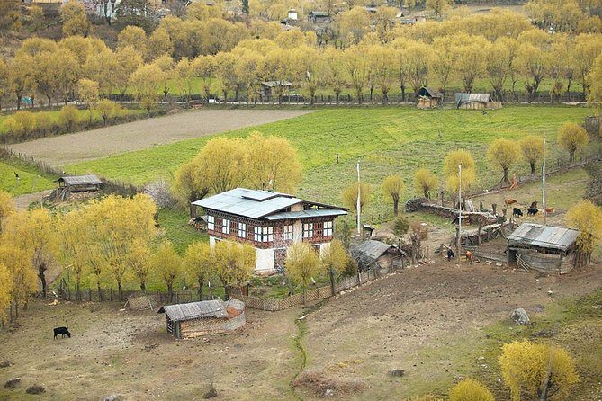 Bhutan Family Vacation With Cultural Tour - Tashichho Dzong and the Flag Ceremony