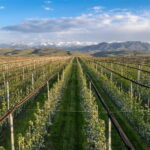 Big Almaty Lake and Legendary Almaty Apple Orchard - The Sum Up: Is It Worth It?