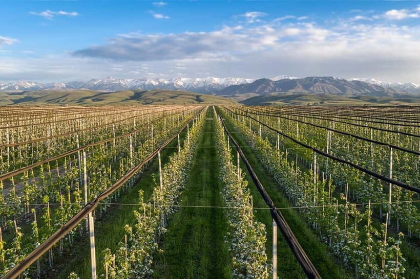 Big Almaty Lake and Legendary Almaty Apple Orchard - The Sum Up: Is It Worth It?