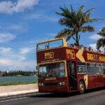 Big Bus Miami: Hop-on Hop-off Sightseeing Tour with Cruise Option - Who Is This Tour Best For?