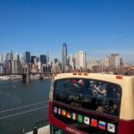 Big Bus NYC: Hop-On Hop-Off Sightseeing Tour by Open-top Bus - Who Should Consider This Tour?