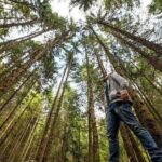 Big Bus San Francisco: Guided Muir Woods Tour - Frequently Asked Questions